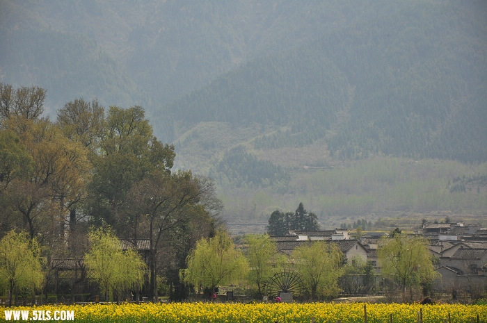 DSC_0347.jpg