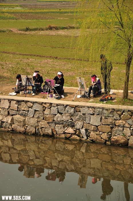 DSC_0382.jpg