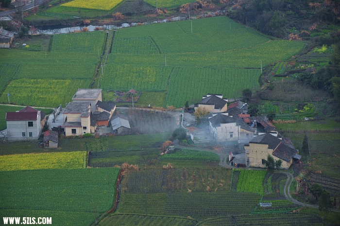 DSC_0626.jpg