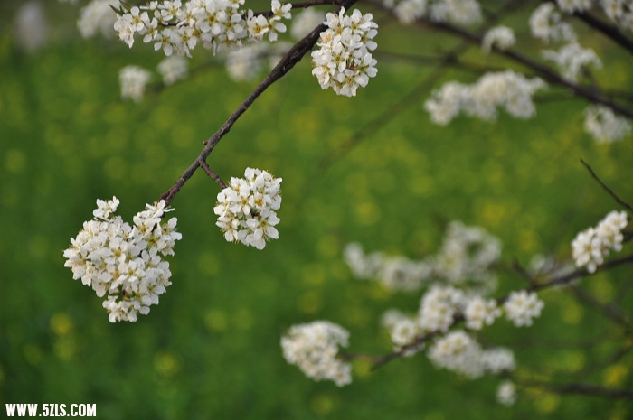 DSC_0573.jpg