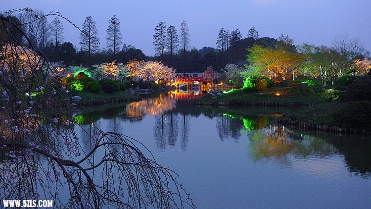 P1100350.jpg