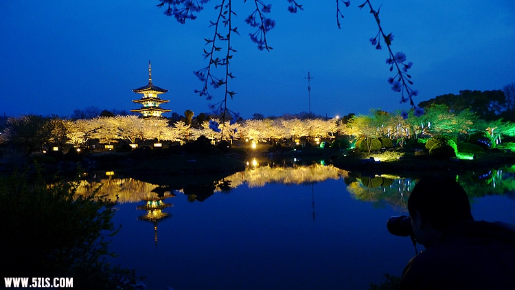 P1100363.jpg