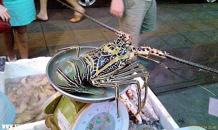 IMAG0199.jpg