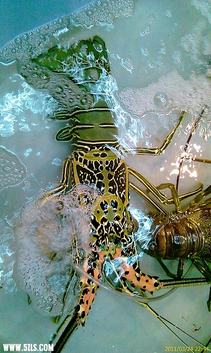 IMAG0195.jpg