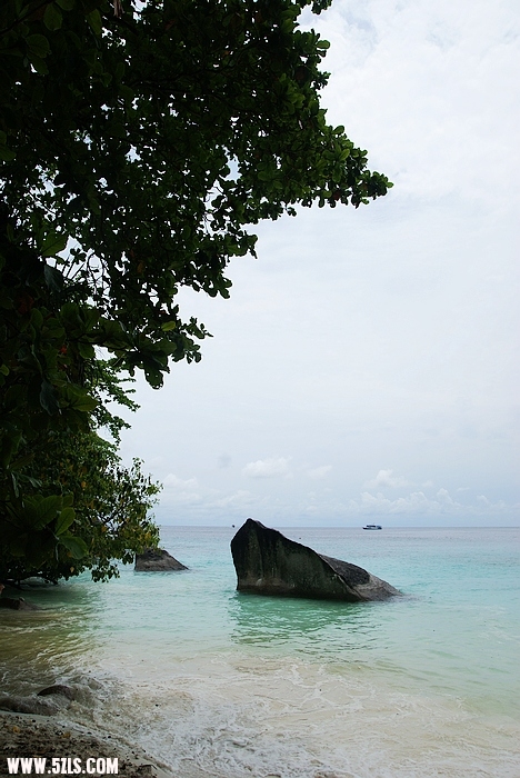 DSC01910.JPG