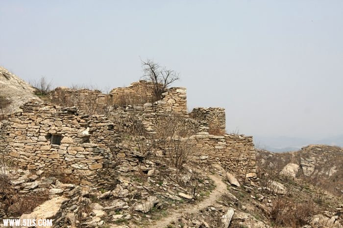 IMG_6572.JPG