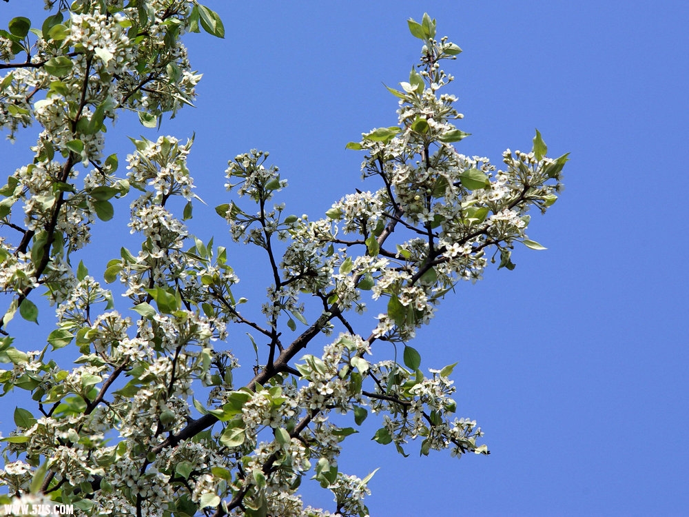 IMGP0519.jpg