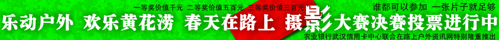 2011ƻӰ.jpg