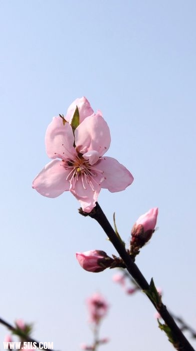 IMG_6709.JPG