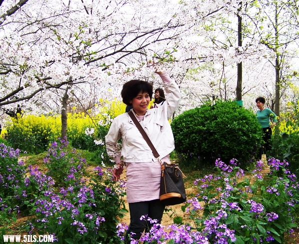 100_0710.jpg