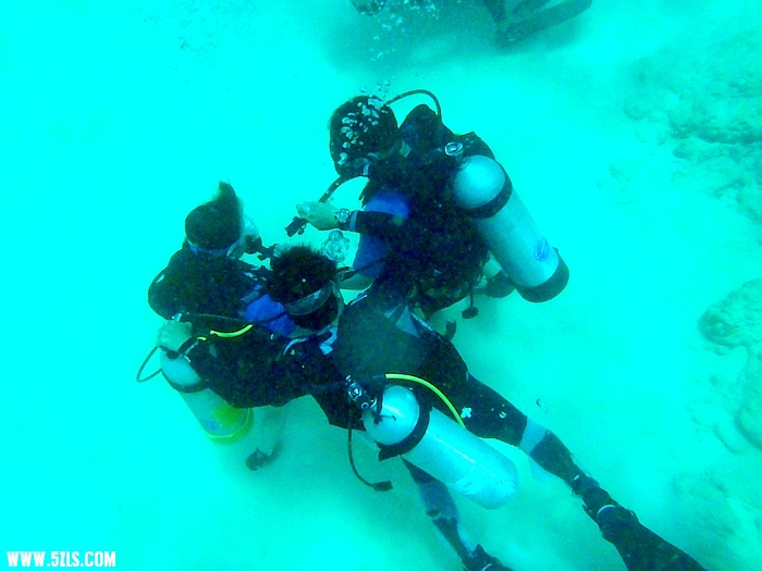 P3210305.JPG