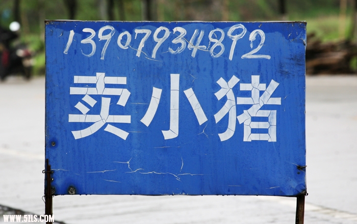 Ƭ 092.jpg