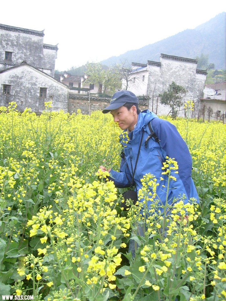 11A.jpg