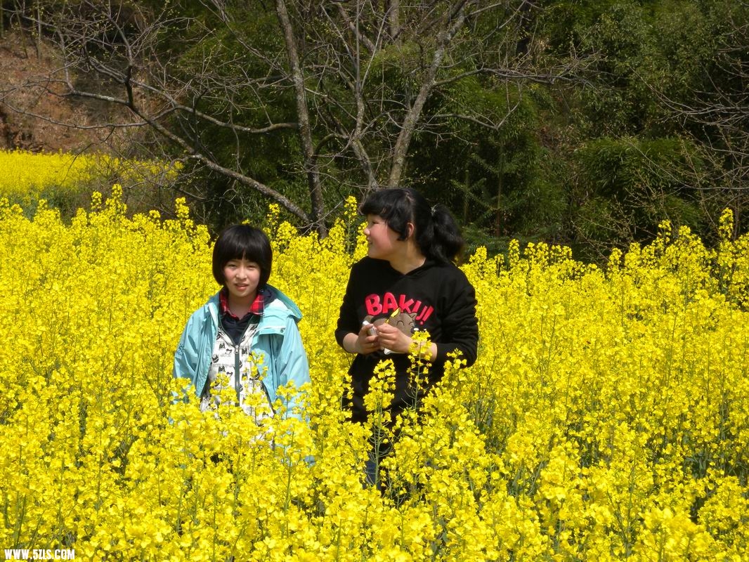 调整大小 DSCN3943.JPG