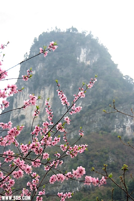 DSCF7917.jpg