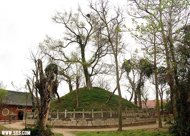 DSCF7937.jpg