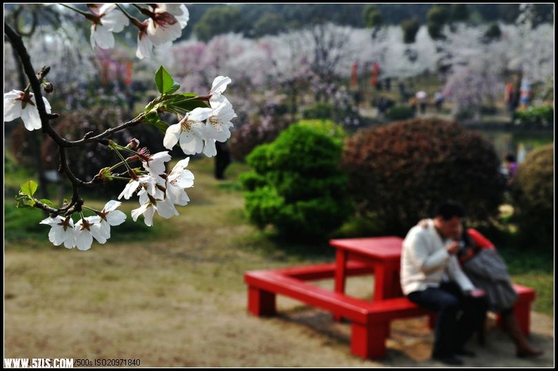 DSC_1050_.jpg