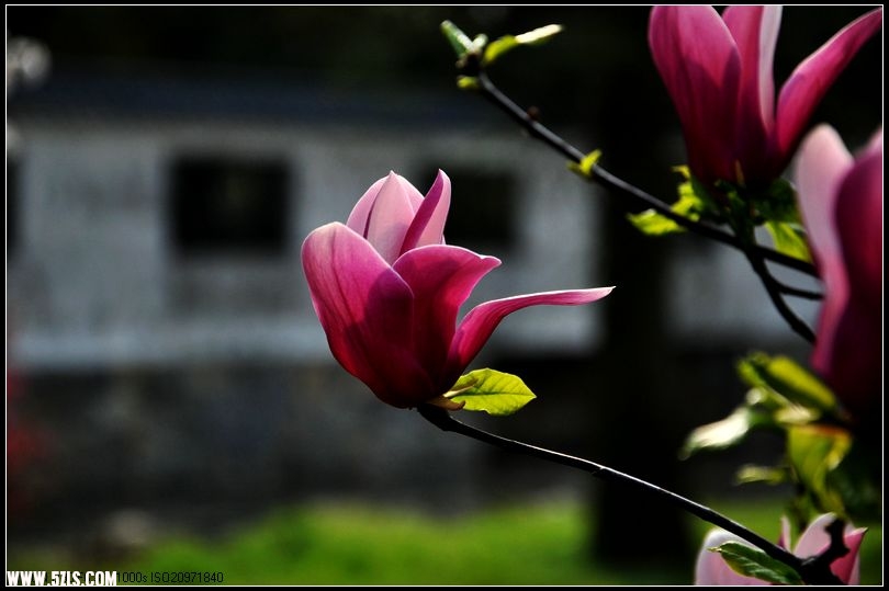 DSC_1091.jpg
