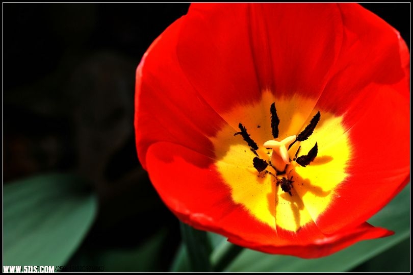DSC_1153_.jpg