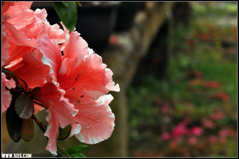 DSC_1258_.jpg