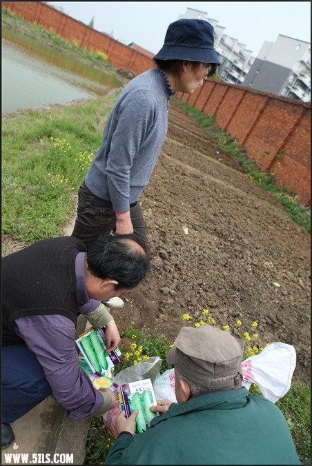 这次郊游还安排了种菜项目