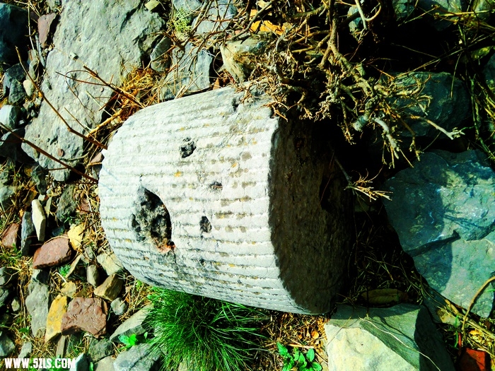 CIMG5779.jpg