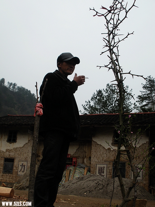 DSCN3996.jpg