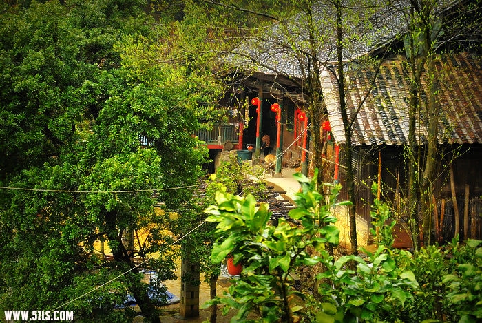 nEO_IMG__DSC0674.jpg