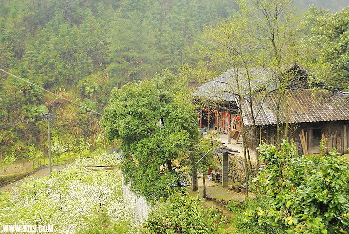 nEO_IMG__DSC0673.jpg