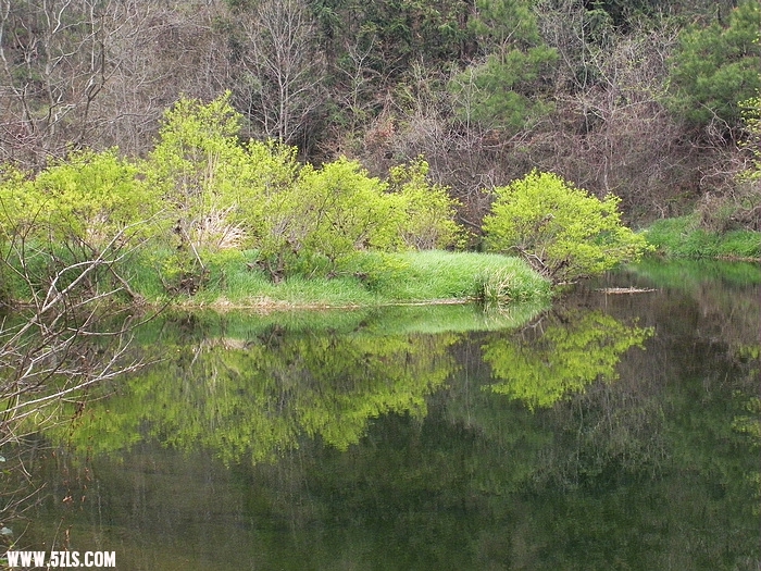 DSCN3901.jpg