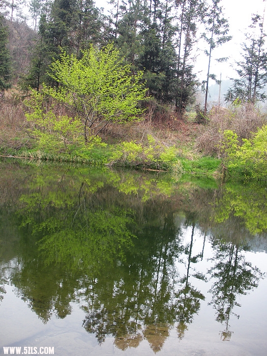 DSCN3896.jpg