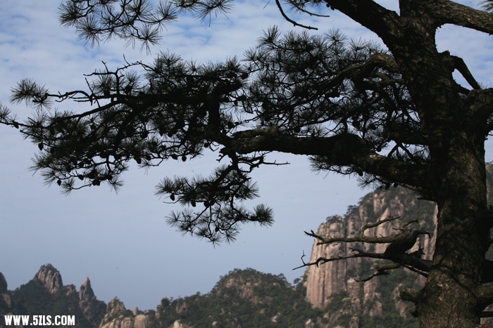 照片 1478.jpg
