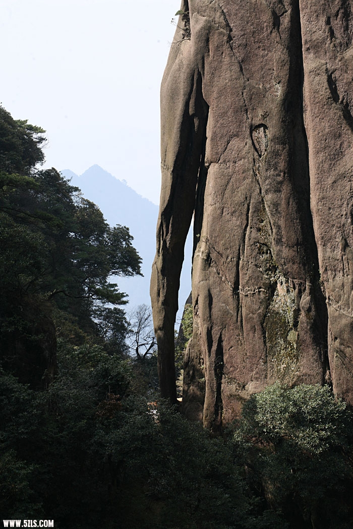 照片 1499.jpg