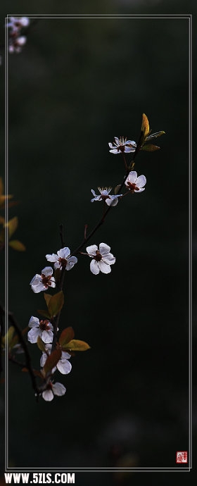 4ff88ea6x8400f741344c&690.jpg
