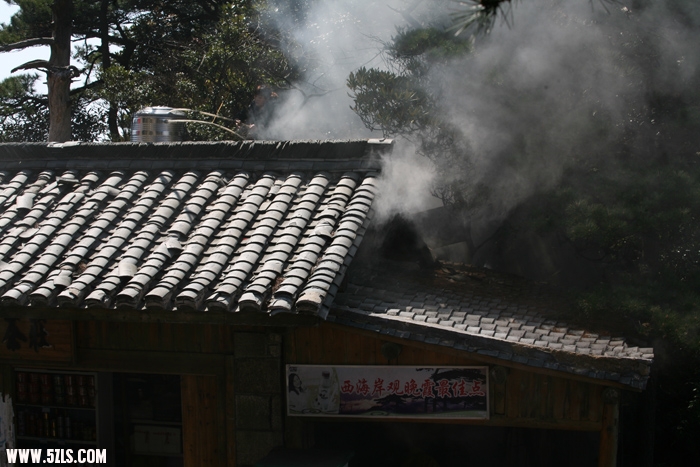 照片 031.jpg