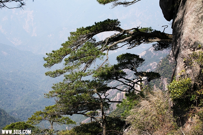 照片 036.jpg