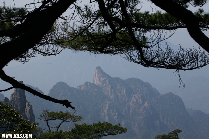 照片 049.jpg