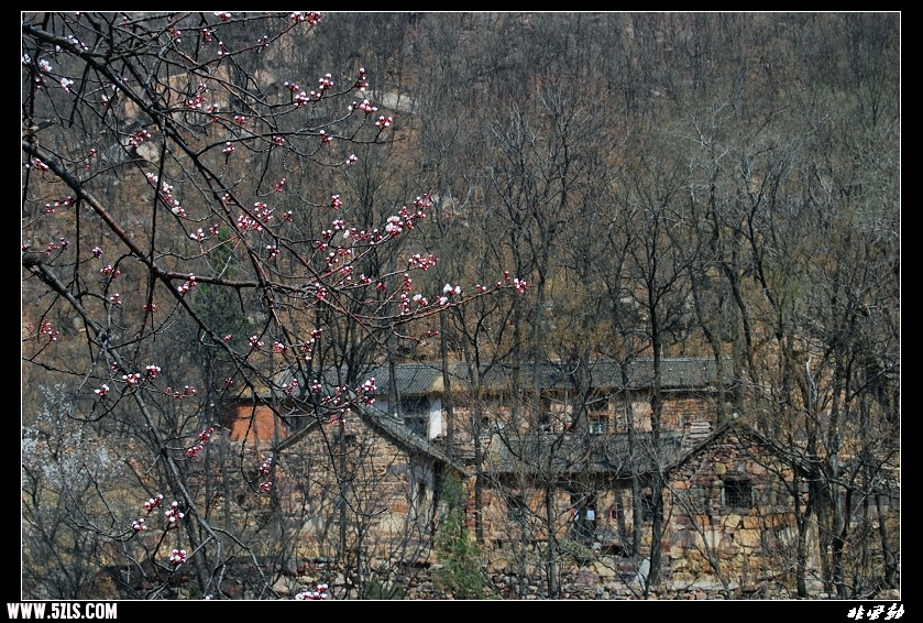 DSC_3302.jpg