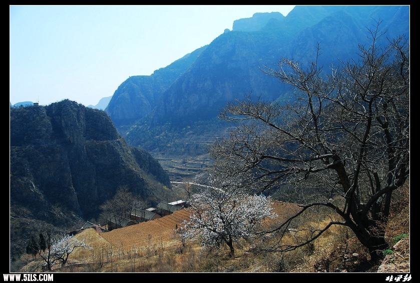DSC_3325.jpg