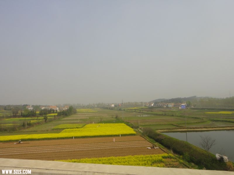 沿
