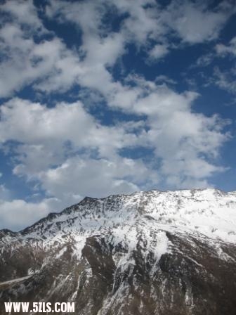 四顾娘山大本