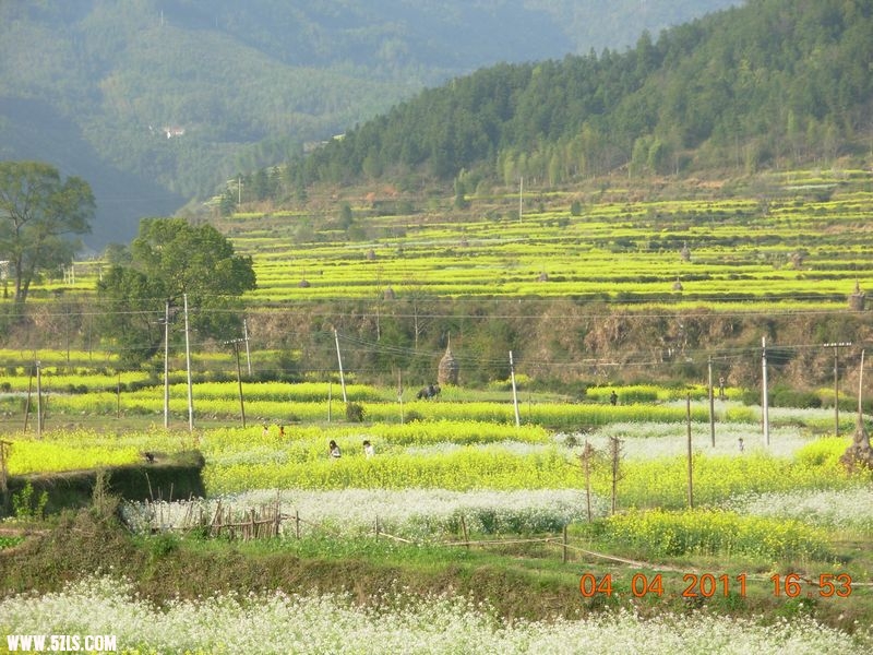 DSCN2062.jpg