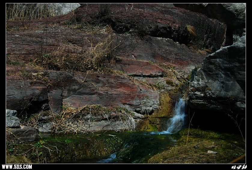 DSC_3372.jpg