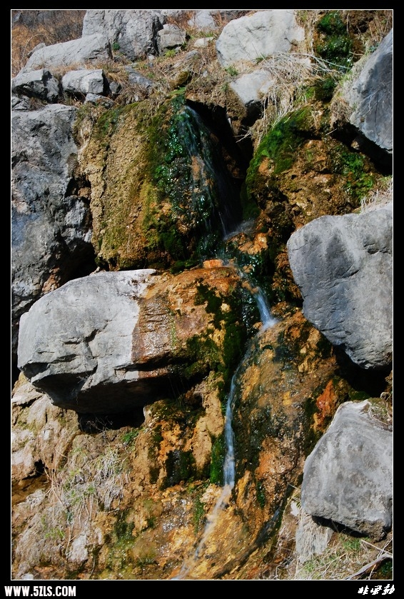 DSC_3378.jpg
