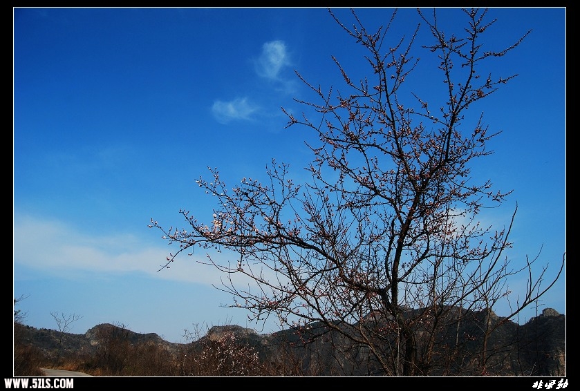 DSC_3423.jpg