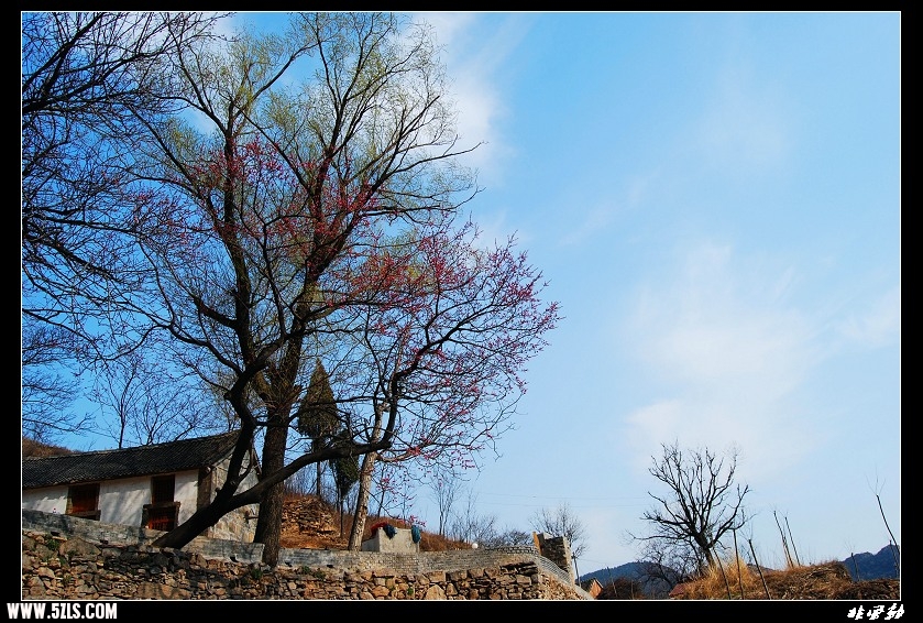 DSC_3437.jpg