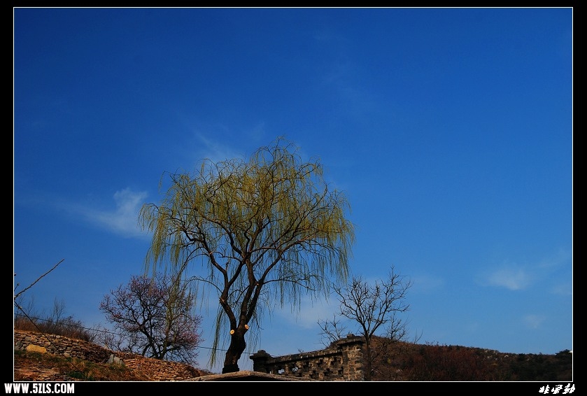 DSC_3441.jpg
