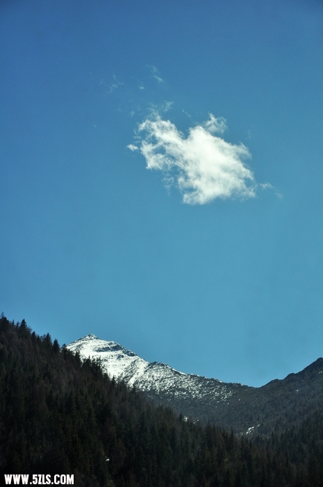 DSC_0201-1.jpg