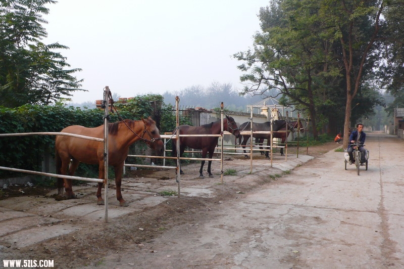 P1130405_СС.JPG