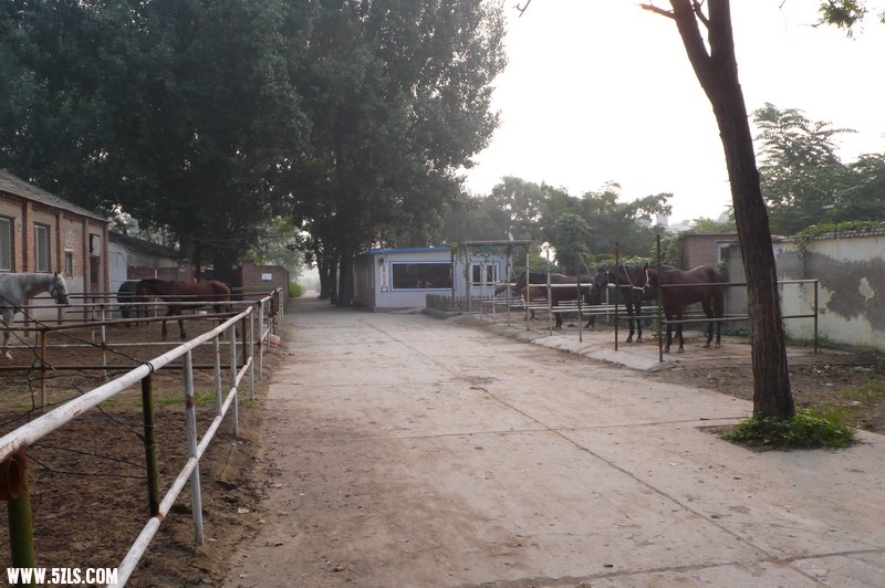 P1130408_СС.JPG